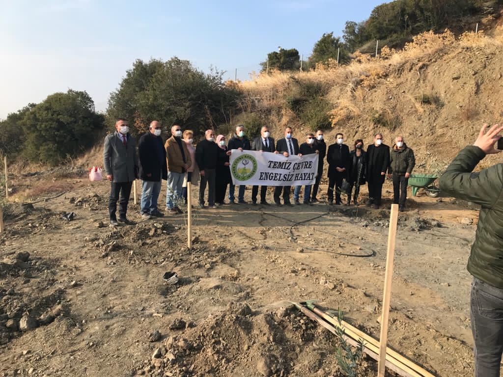 MARK GIDA "MY FOREST" CAMPAIGN